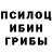 Галлюциногенные грибы Psilocybine cubensis Eugeniy Kremennoy