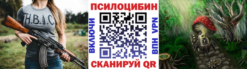 Купить где  Калачинск  Галлюциногенные грибы Psilocybe 